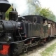 A unique train ride on the Văser Valley