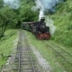 A unique train ride on the Văser Valley