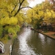 A little park ideal for morning jogging