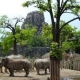 One of the oldest zoos in the world