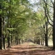 Into the wild in the Netherlands