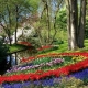 The place to see Dutch tulips