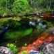 Caño Cristales - "the liquid rainbow" from Colombia