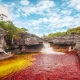 Caño Cristales - "the liquid rainbow" from Colombia