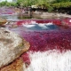 Caño Cristales - "the liquid rainbow" from Colombia